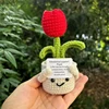 Mini Cute Crochet Potted Plants Eternal Flowers Wedding Gifts for Guests Handmade Sunflowers Flowers Valentine's Day Gifts 1
