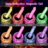 13PCS Reflective Glitter Magnetic Gel Set Fluorescent Green Semi Permanent Neon Glitter Gel Kit Nail Art  Varnsh Kit Supplies 3