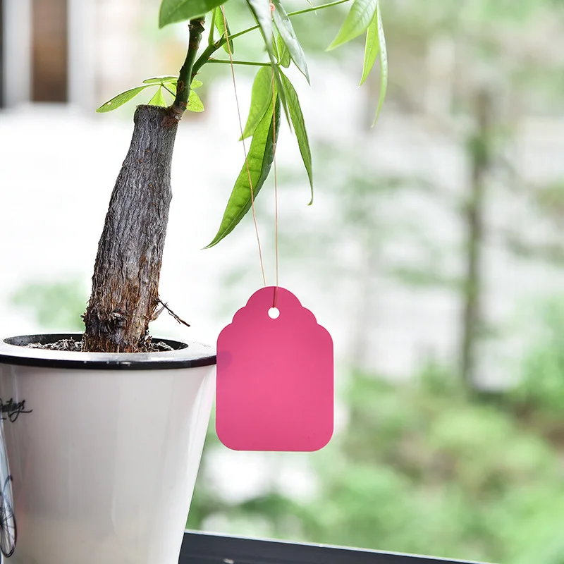 Plant Labels 100Pcs PVC With Rope Garden Decoration