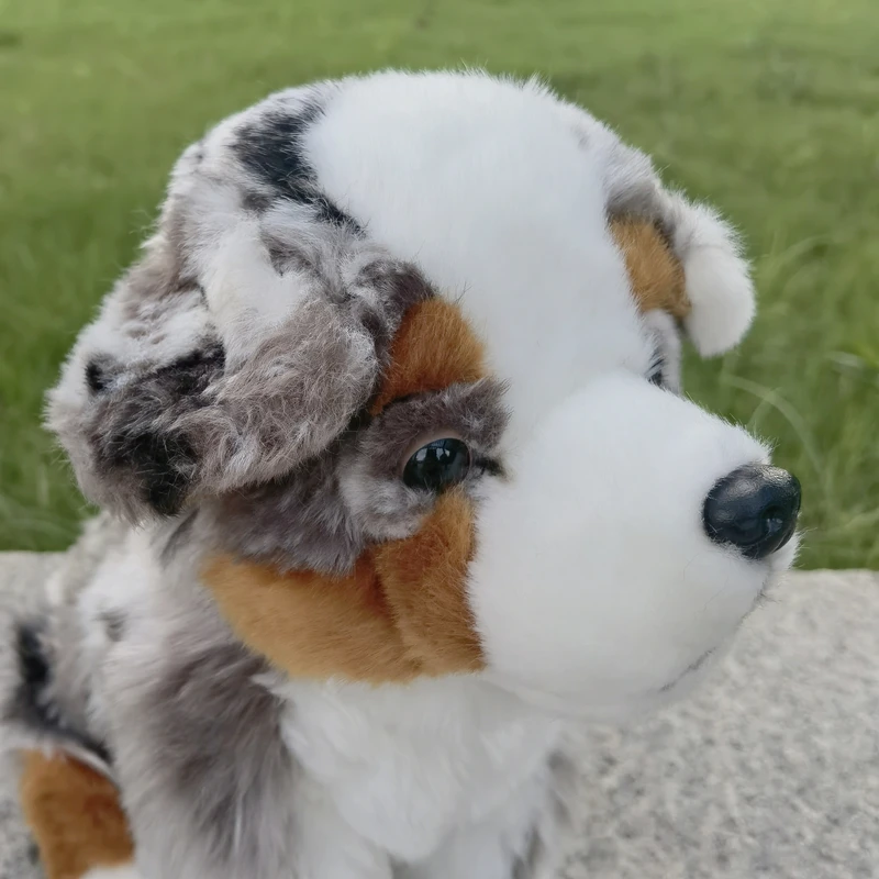 Australian Shepherd Dog High Fidelity Cute Plushie Dogs Plush Toys Lifelike Animals Simulation Stuffed Doll Toy Gifts For Kids 4