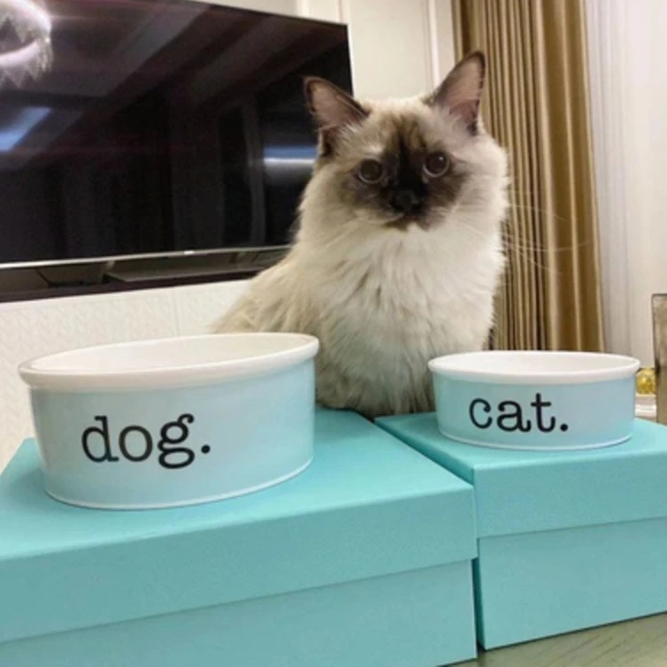 

Classic Blue Ceramic Pet Bowl Anti Overturning Cat Basin Pet Food Bowl Dog Bowl Large Capacity Water Basin Pet Gift Box