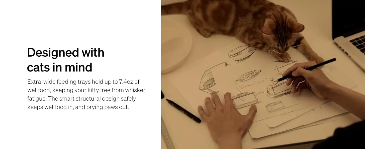 wet food feeder