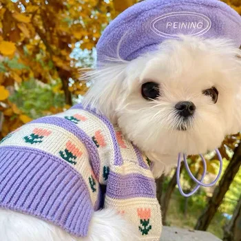 예쁜 꽃 애완 동물 스웨터, 겨울 강아지 따뜻한 옷, 비숑 프리즈 테디, 두 다리 옷, 말티즈 소프트 가디건