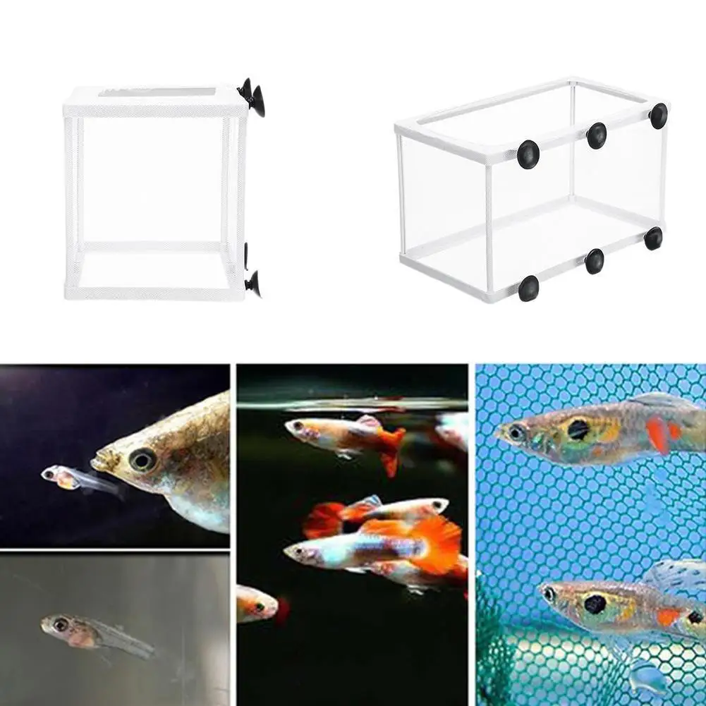 Aquarium Fish Breeding Isolation Box