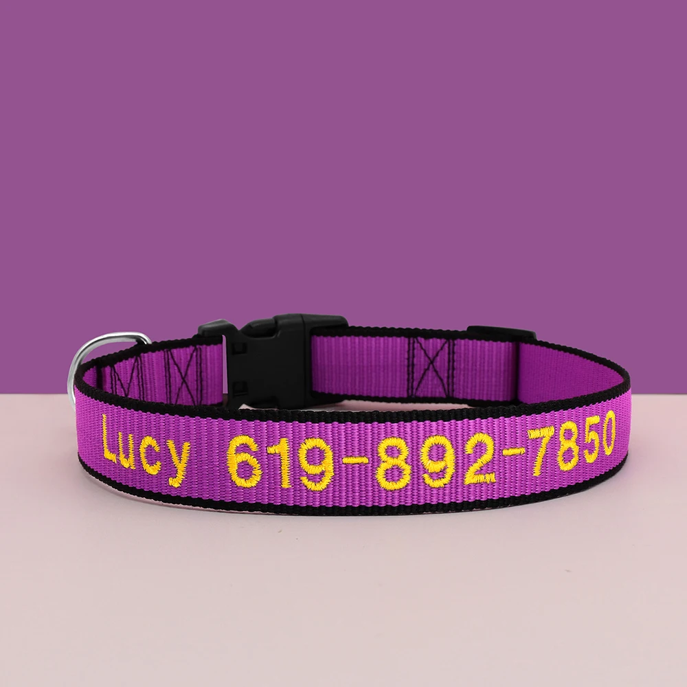 Personalisiertes Nylon Hundehalsband Günstig Kaufen / Minikauf.ch