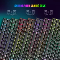 MageGee Mini 60% Gaming Keyboard, RGB Backlit 61 Key Ultra-Compact Keyboard, TS91 Ergonomic Waterproof Mechanical Feeling Office 3