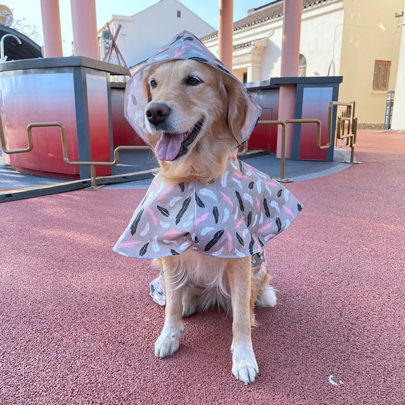 Make Your Dog Look Cuter And Funnier With Cartoon Raincoat