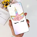 Case-c24