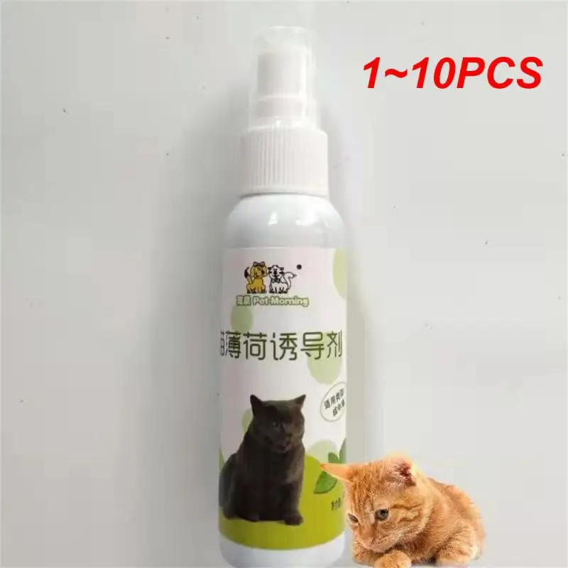 110PCSCatnipSprayForCatsBotanicalExtractedCatsCatnipSprays