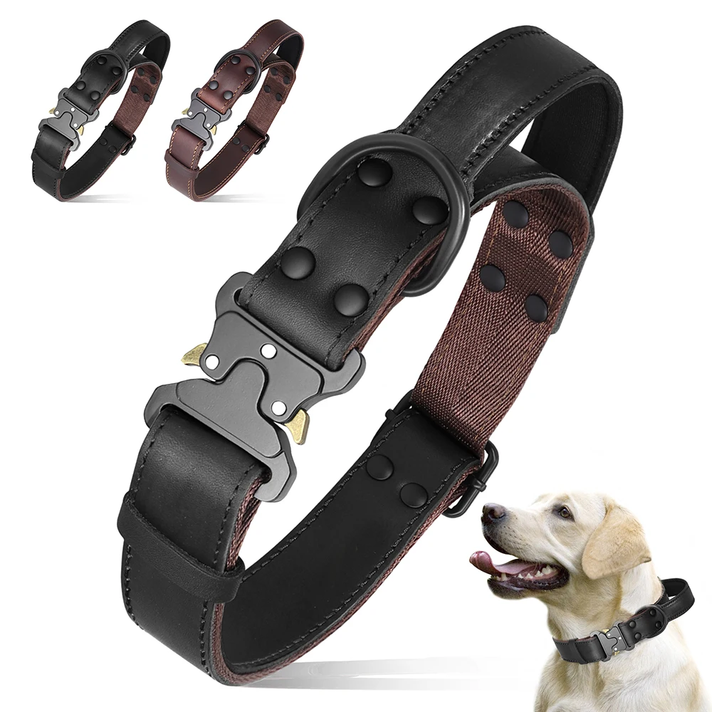 Collare Per Cani My Family Collare Per Cani In Vera Pelle | Morbido E Regolabile | Rosso Taglia XS Collare Per Cuccioli E Adulti