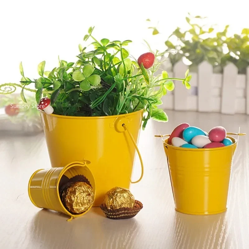 1pc Mini Metal Iron Flower Pot with Handle Hanging Balcony Garden Office Planter Mini Bucket Candy Basket Home Decor