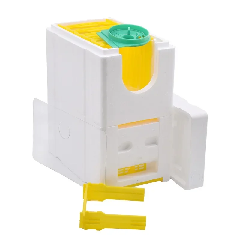 Double-Layer Foam Beehive Queen Bee Cultivation Bee Cross Tail Box Small Household Foam EPS Hive