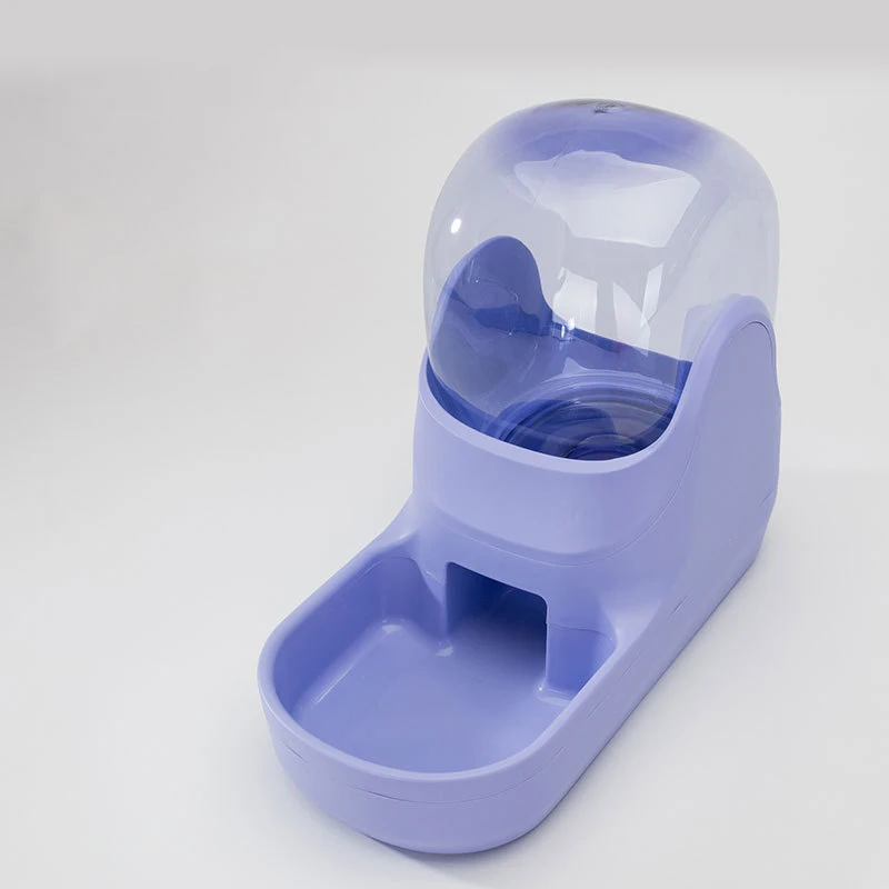 Purple Water Bowl