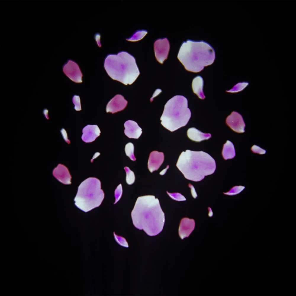 Slide image cce6d436495f41acbeb0128fe399920b