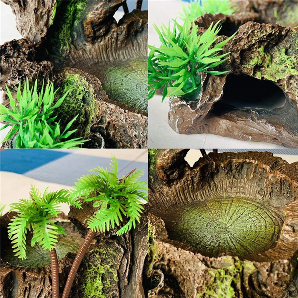 Sturdy Reptile Feeder Bowl for Feeding Sessions Easy To Clean Reptile Food Water Dish
