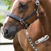 10cm Zinc Alloy Horse Panic Clip Buckle Quick Release Panic Hook Snap For Equestrian Horse Pony Cob Horse Care Product 2