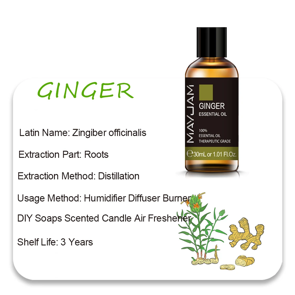 MAYJAM Essential Oils - Aromatic Bliss Collection: Lavender, Jasmine, Eucalyptus, Ylang Ylang, Vanilla, and Tea Tree