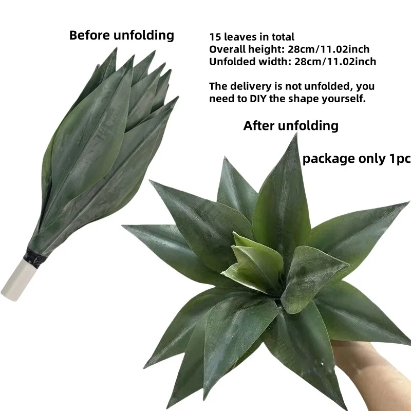 1pc longshelan 15ye