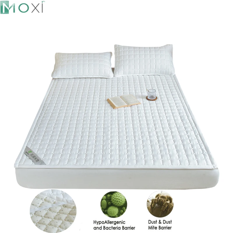 

Summer Sleeping Pad Cooling Mattress Topper Pad Soft Mat Double-Sided Folding Single Double Bed Student Dormitory Floor Decor