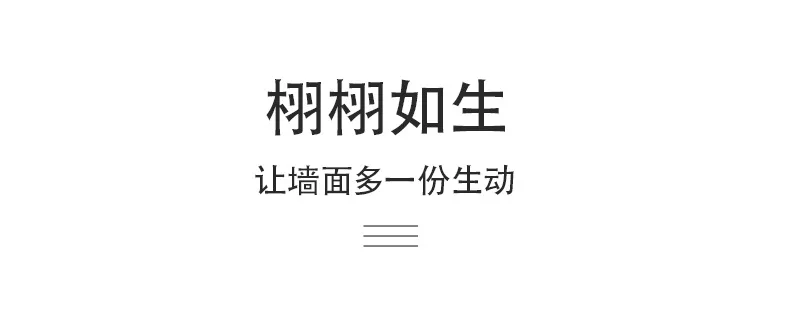 详情(1)_05.jpg