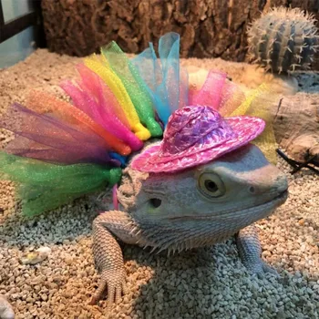 Reptile Tutu Costume Set 1