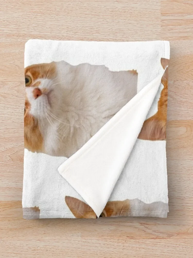 �� ���� ���� ������ ������ ���, ���� �̺�, ���� �� ���