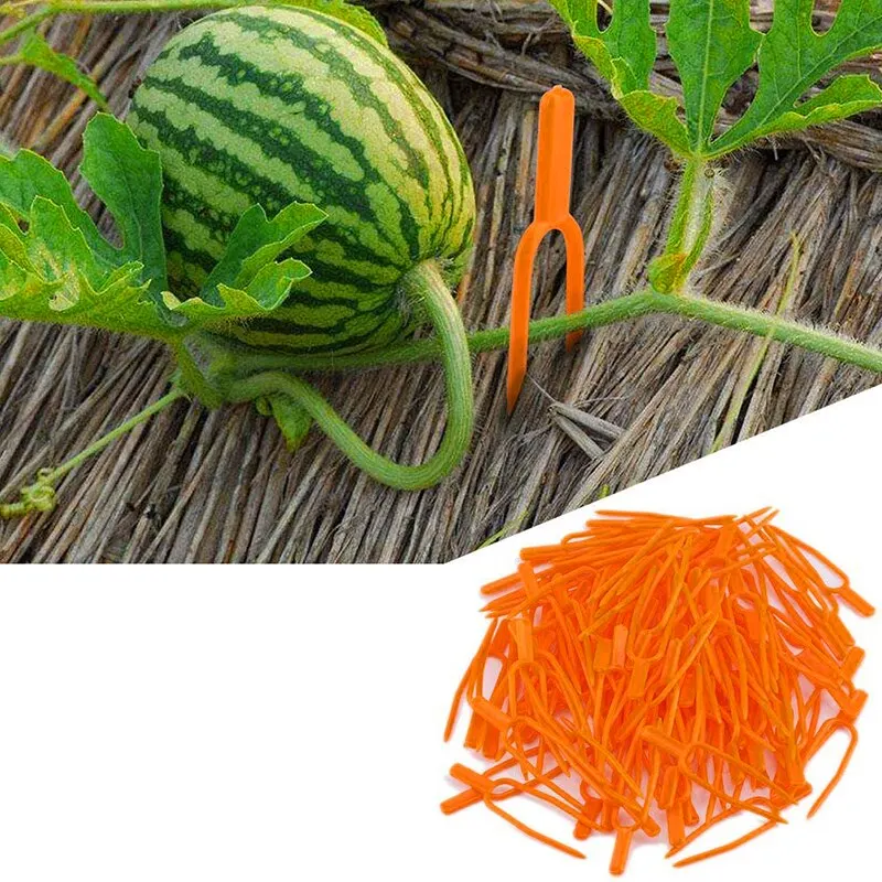 Plant Support Gardening Clip Fixed Fork Plant Clip 200 Pcs