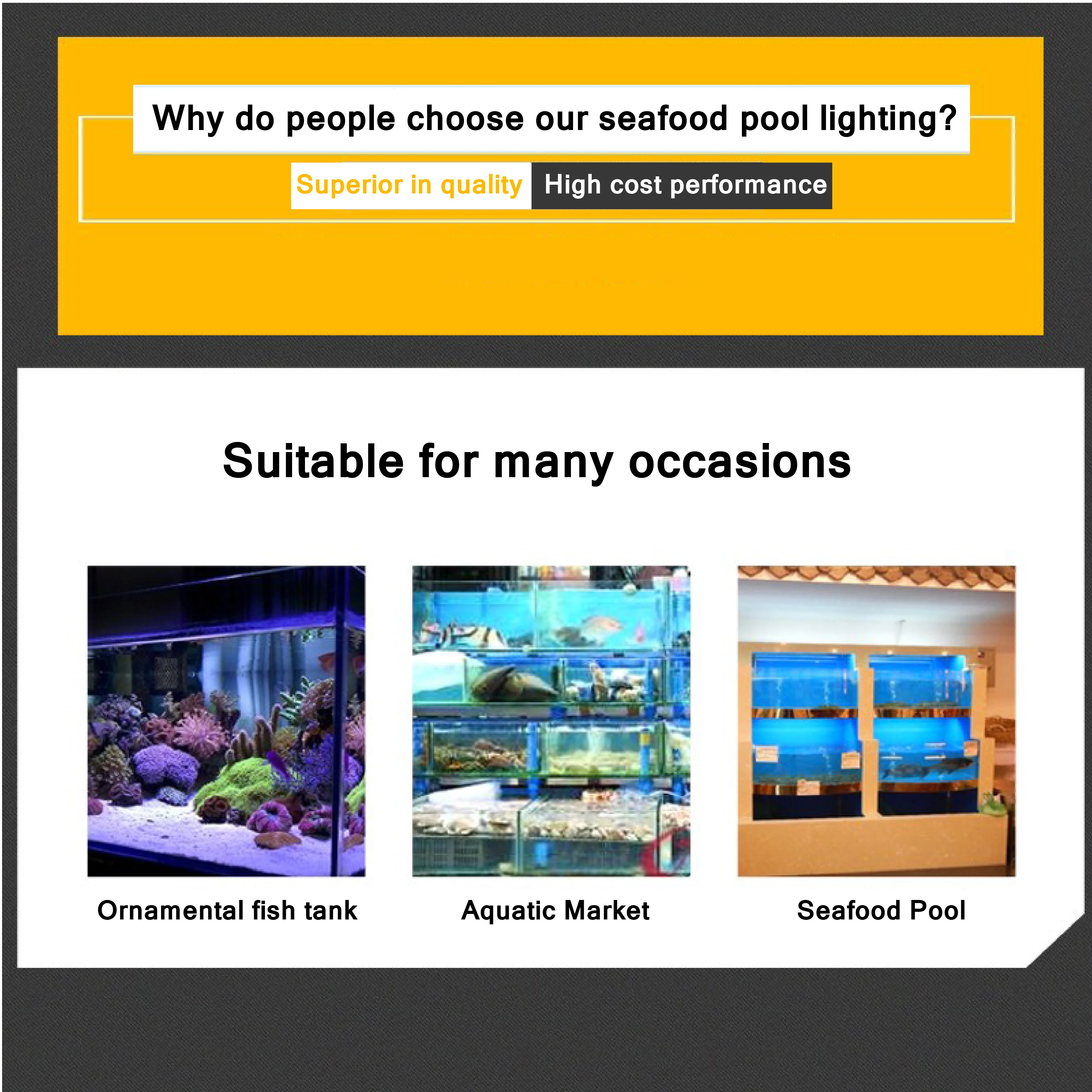 4938-6d8a37.jpeg Luces LED especiales impermeables para piscinas de acuarios voltaje de 12 V