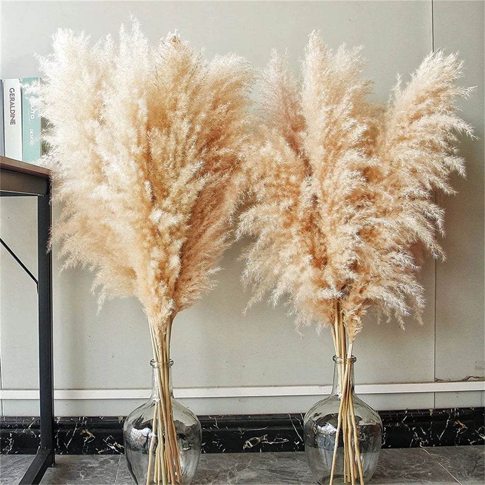 

80-120cm Pampas Grass Large Tall xxl Fluffy Pampas Dried Flowers Boho Decor Plant for Vase Home Wedding Decor Flower Arrangement