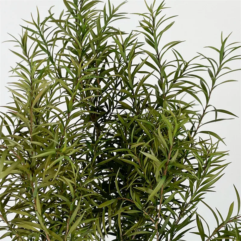 

High Quality Green Melaleuca Dried Flower Natural Twigs Red,Orange,Purple Bouquet For Room Wedding Store Decortion 80g/Lot