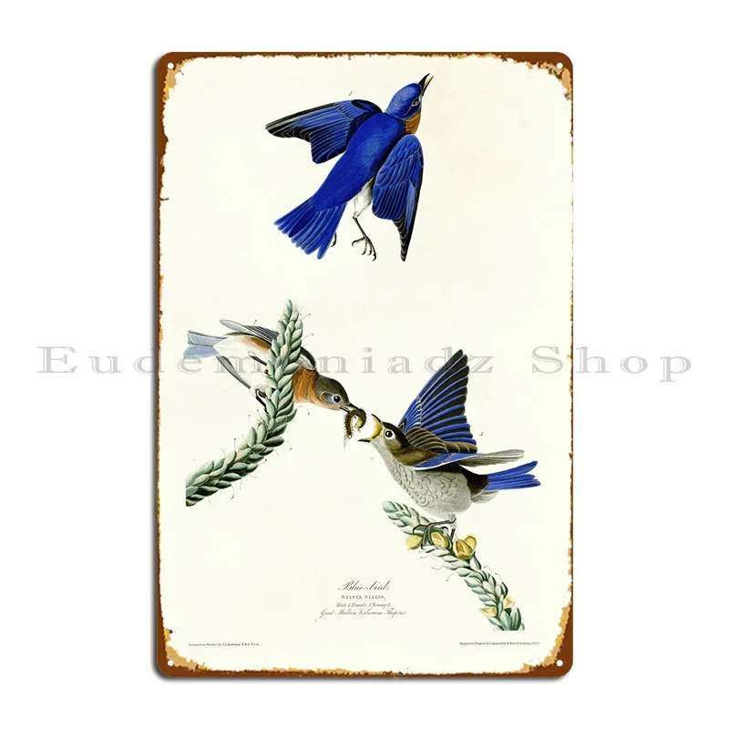 Blue Bird Metal Platform Poster Targhe Stampate Wall Decor Pub Plates Wall Decor Tin Sign Poster