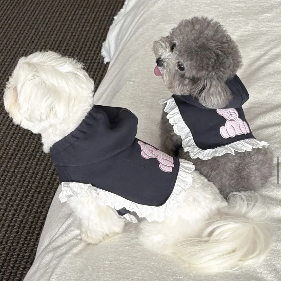 애완동물 자수 테디베어 후드티 애완동물 숄 따뜻한 가을 겨울 소형견 고양이 후..