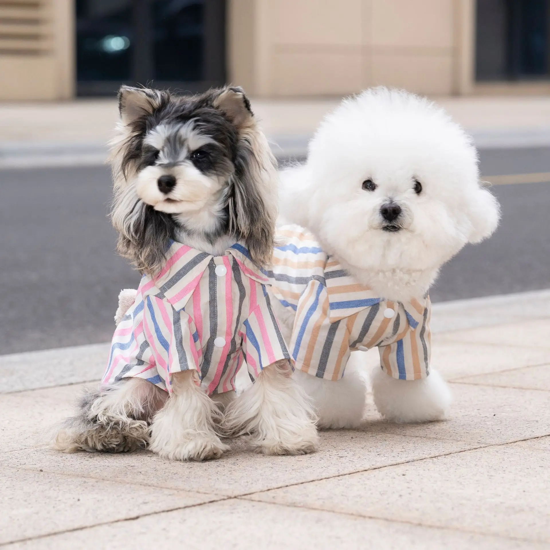 T-shirt rayé en coton pour chien vêtement respirant pour chiot_voghion.com