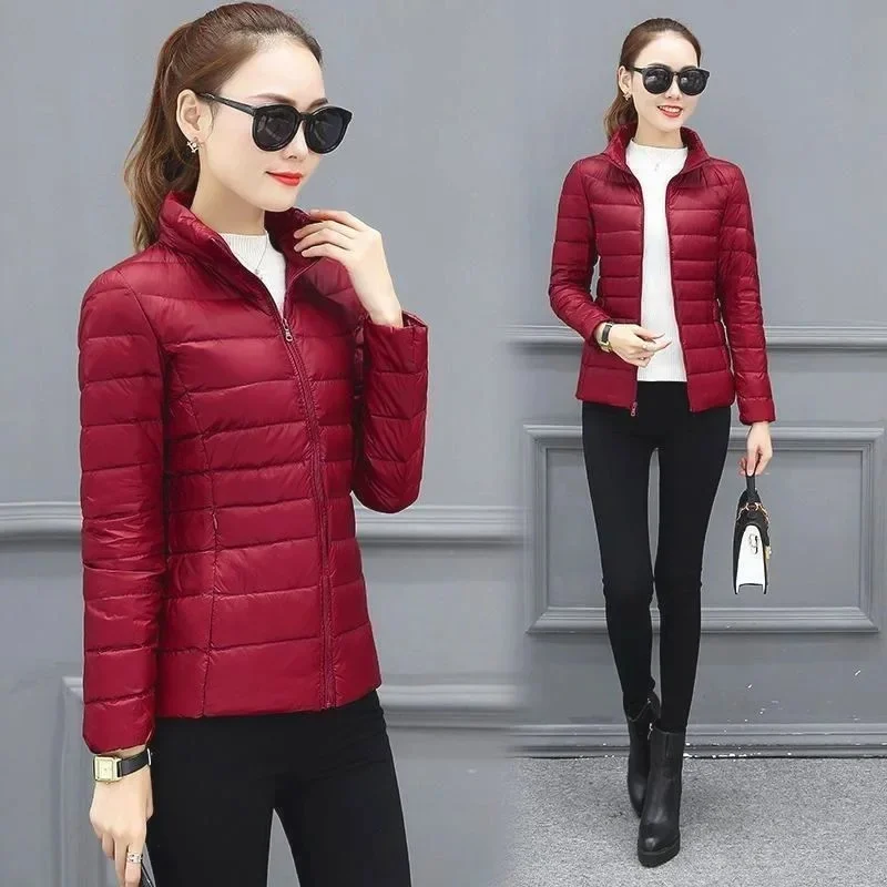 Wine Red stand collar