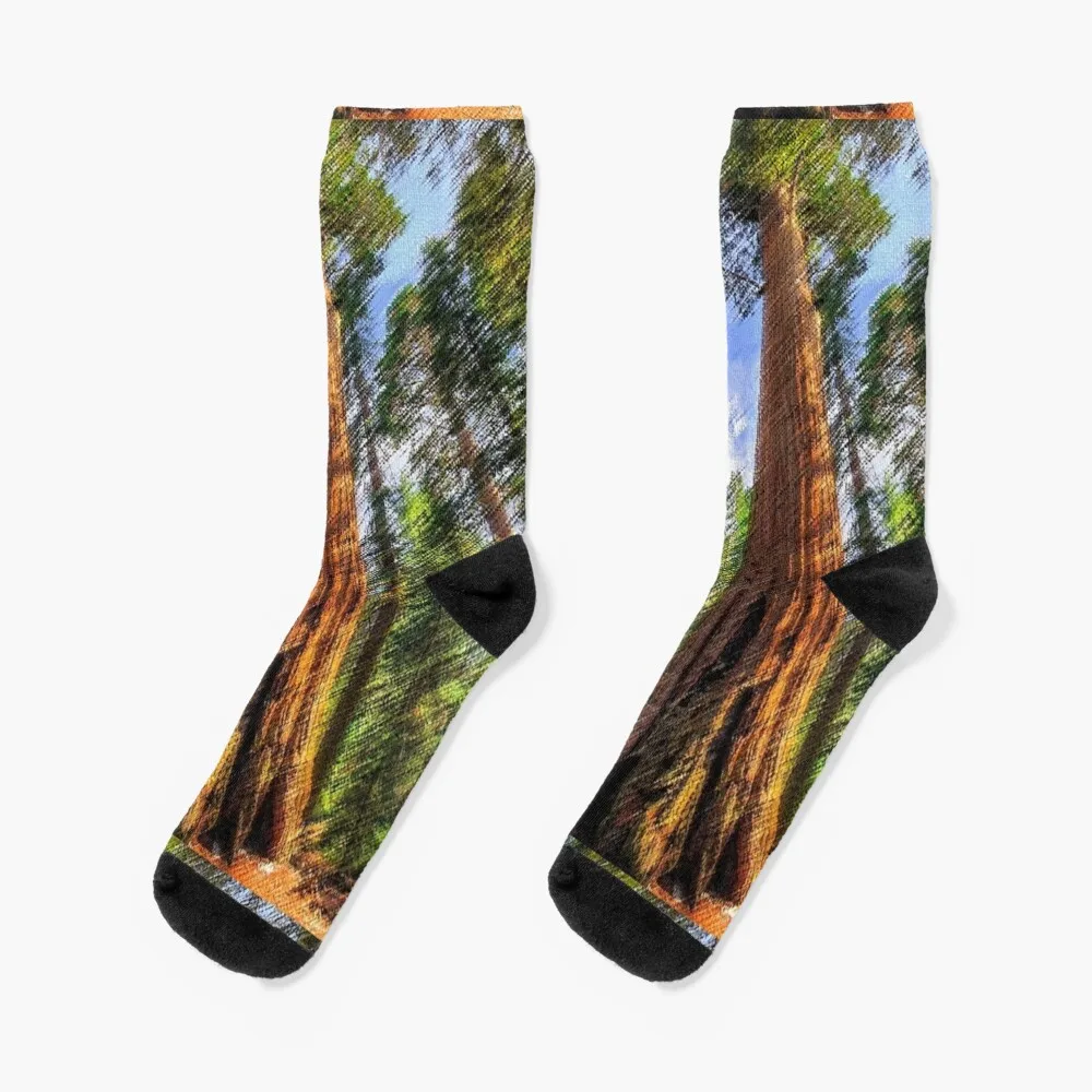 

Towering Redwood Tree Landscape Painting by Jeanpaul Ferro Socks Men's compression Luxury Woman Socks Men's