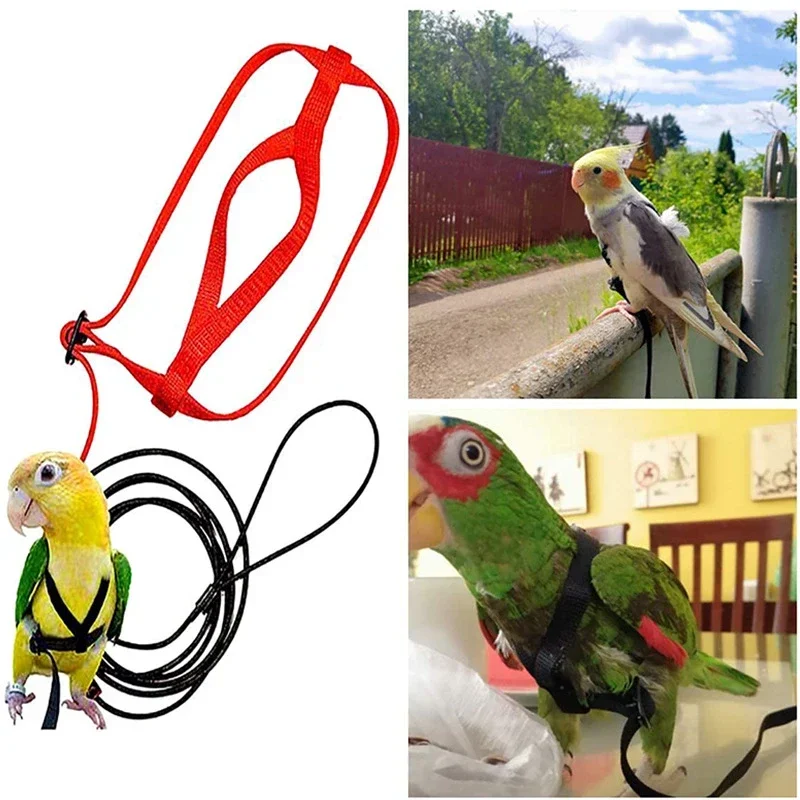 Training Rope Bird Leash Parrot Flying Rope Parrot Harness Bird Harness Leash