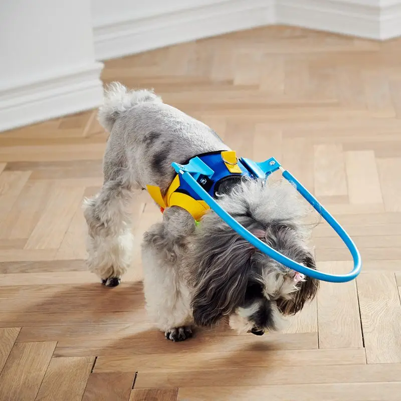 

Шлейка для слепых собак, направляющее устройство, сейф для домашних животных, регулируемый для маленьких и больших собак, Прямая