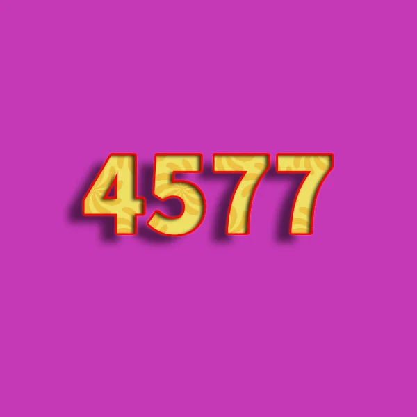 4577Fashion Store
