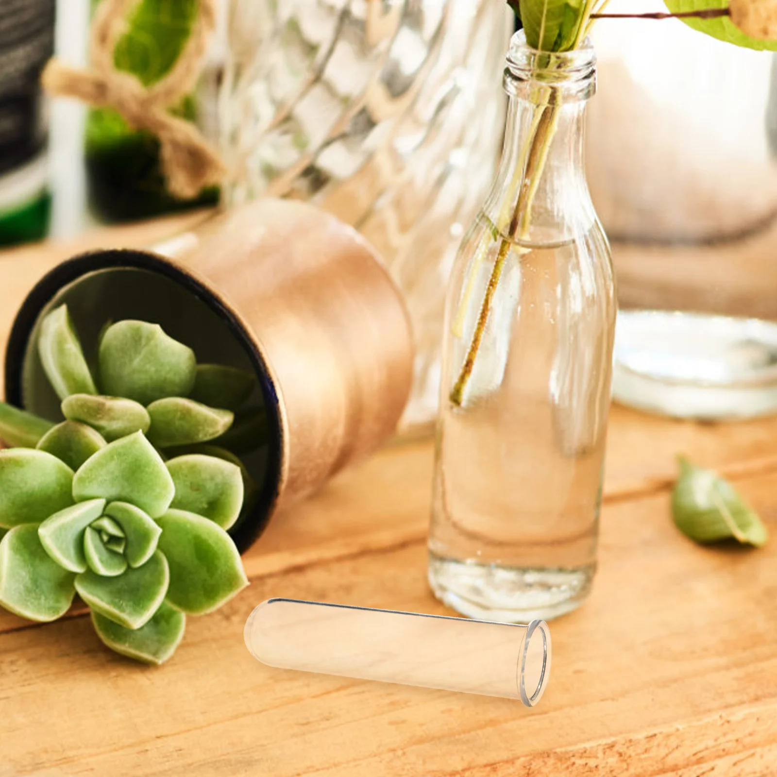 5 Pcs Test Tube Vase Vases Glass Tubes for Plants Flower Hose Small Terrarium Planters Propagation Hanging Office Desk 2
