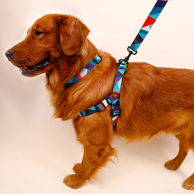 1PC Pet Abstract Chest And harness Set, Dog Webbing Leash, Dog Walking Leash, Dog Collar Three-piece Set 4