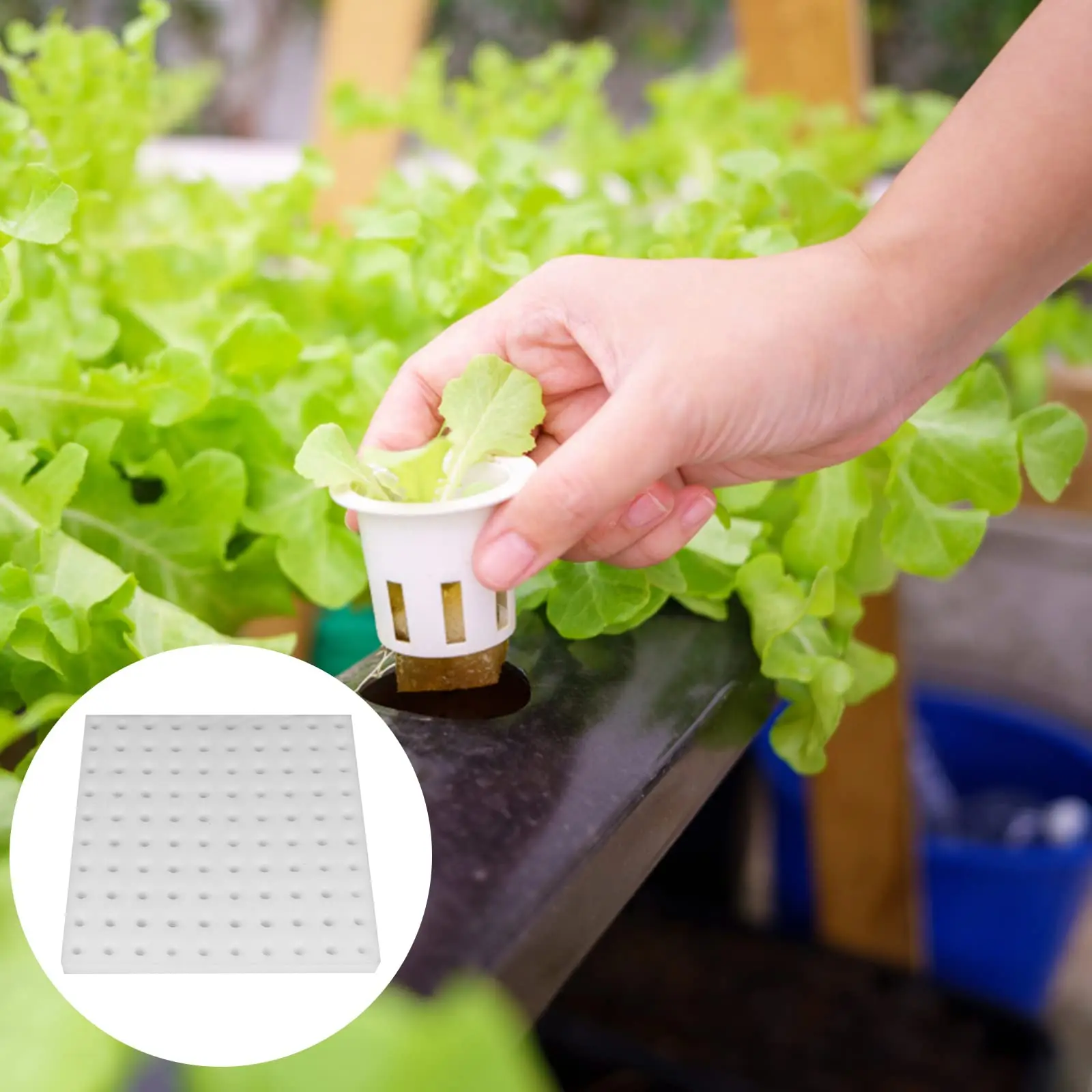1/2/3/5/10pcs 250mm by 250mm Nursery Sponge Gardening Hydroponics Sponge Vegetables Hydroponics for Garden Supplies