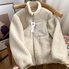 Autumn and Winter Japanese Men's and Women's Fleece Stand Neck Jacket Couple Zipper Loose Warm Lamb Wool Coat Solid Color Jacket 1