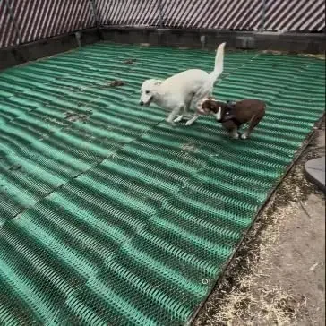 Grass Protection Mesh w/Accessories - 3'x50' Roll (150sf) - Reinforcement for Grass Parking, Driveways, Parking, Turf Protection