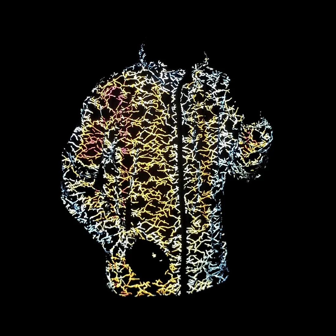 Holographic Reflective Hooded Windbreaker Jacket 1