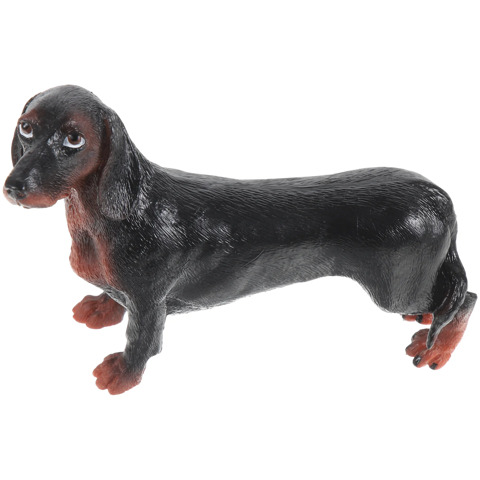 

Simulation Dachshund Animal Model Dog Recognition Realistic Figures Childrens Toys Plastic Kids Desktop Decoration Puppy for