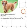 Dog Jumps Set Pet  Training Equipment Dog Adjustable  Jump Hurdle Hoop Pole Obstacle Course Pet  Training Pole 1