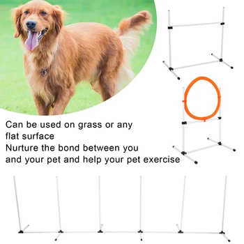 Dog Jumps Set Pet  Training Equipment Dog Adjustable  Jump Hurdle Hoop Pole Obstacle Course Pet  Training Pole 1