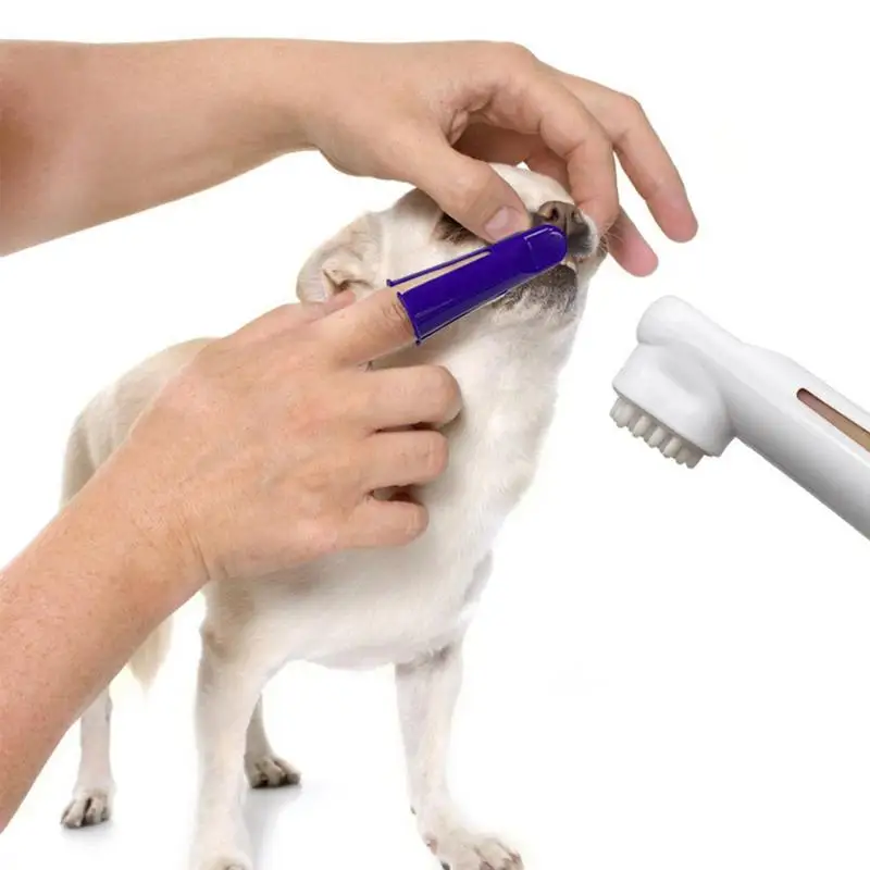 

Dog Toothbrushes And Toothpaste Universal Oral Care Puppy Tooth Brushing Teeth Cleaning Cat Care Supplies Safe And Effective