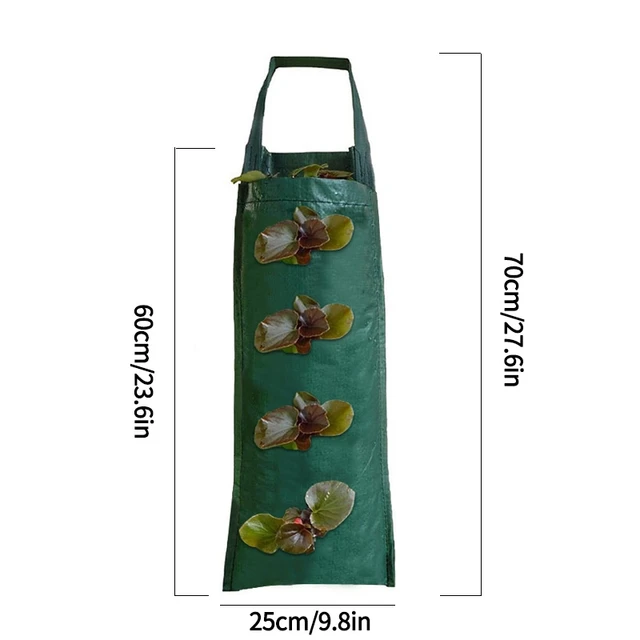Green(4 holes)