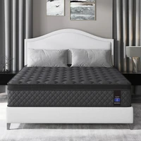 Queen Mattress,14 Inch Hybrid Mattress Black,Euro Top Mattress Medium Firm for Back & Lumbar Support,100 Night Trial, Individual 1